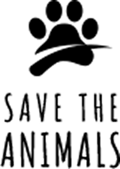 Lifetime Rehab-home-one-marquee-logo-five
